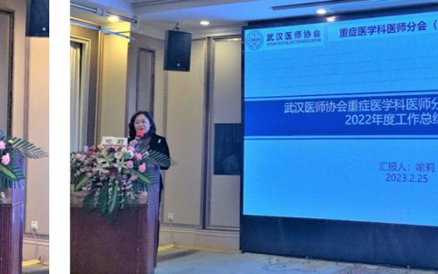 武汉医师协会重症医学科医师分会2023年第一次全委会在武汉召开