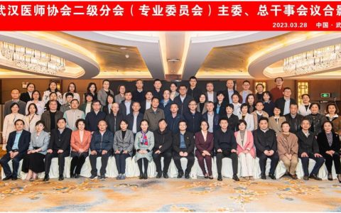 武汉医师协会二级分会（专业委员会）主任委员、总干事会议顺利召开