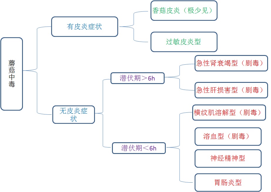 见小人，躺板板——聊聊蘑菇中毒那些事