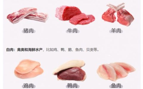 肿瘤患者吃什么？告诉你答案！