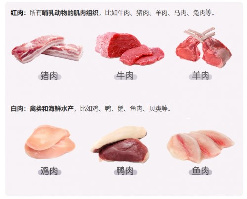 肿瘤患者吃什么？告诉你答案！