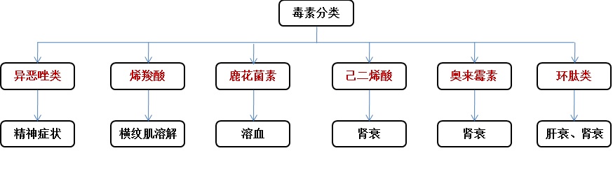 见小人，躺板板——聊聊蘑菇中毒那些事