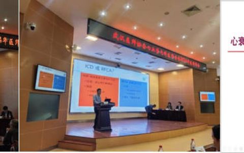 武汉医师协会2024年心血管内科医师年会在武汉市中心医院圆满举行
