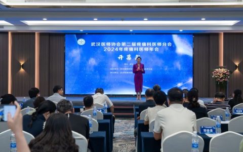 武汉医师协会第二届疼痛科医师分会 2024年疼痛科医师年会隆重召开