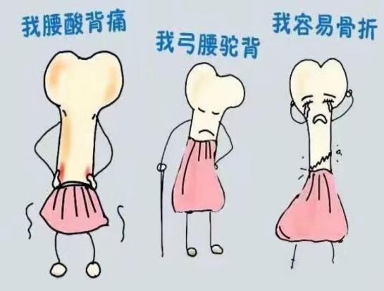 “静悄悄”的健康大问题 —— 骨质疏松