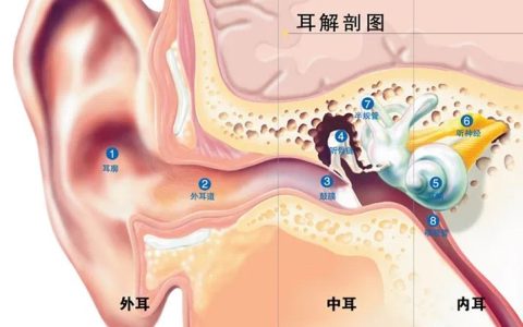 高压氧治疗中的耳部舒适指南——巧妙运用咽鼓管调压，护航您的治疗之旅