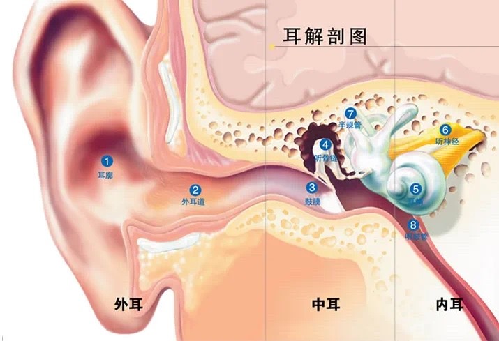 高压氧治疗中的耳部舒适指南——巧妙运用咽鼓管调压，护航您的治疗之旅