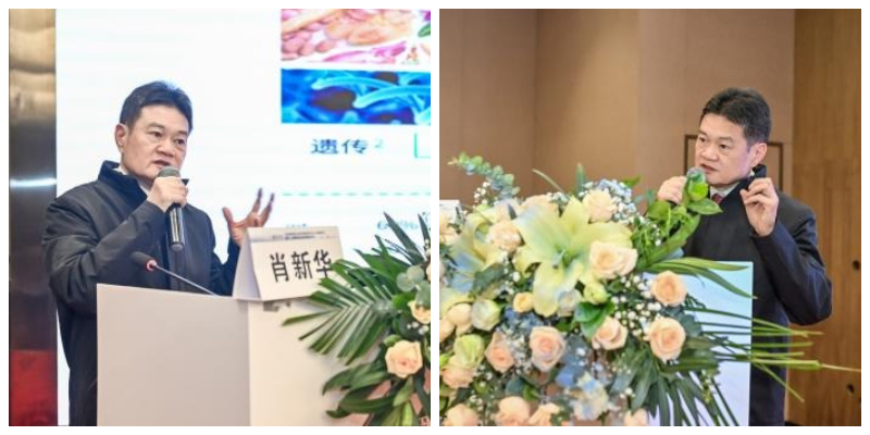武汉医师协会内分泌代谢科医师分会召开2024年医师年会