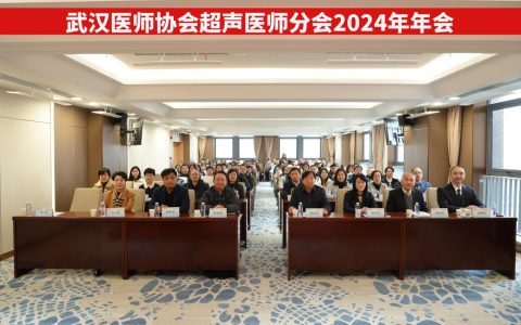 武汉医师协会超声医师分会举办2024年年会