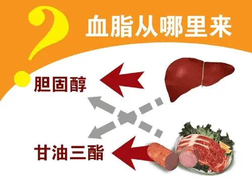 关于“血脂”的深度探讨——医患对话