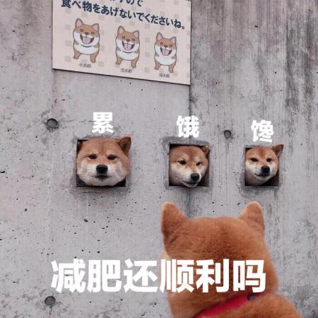 国家喊你科学减肥啦! 你的身体是“运动小白”还是“健身王者”？
