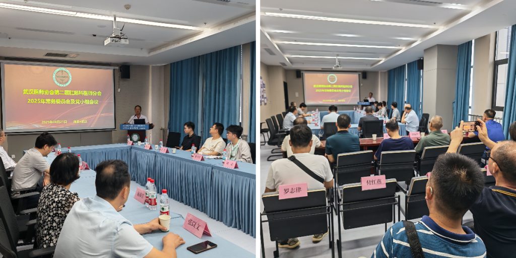 武汉医师协会第二届肛肠科医师分会召开2025年常务委员会及党小组会议