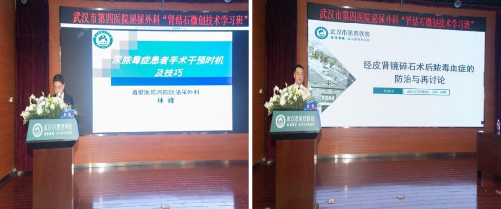 武汉医师协会第一届男科与性医学医师分会举办肾结石微创技术学习班