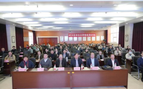 武汉医师协会肿瘤医师分会召开2025年医师年会暨武汉市“323”攻坚—癌症防治行动工作推进会