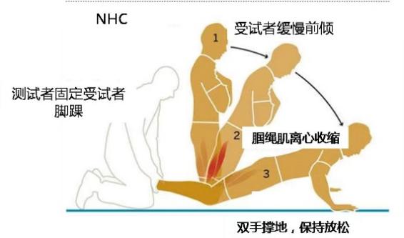 且行且珍膝-前交叉韧带重建术后的康复治疗