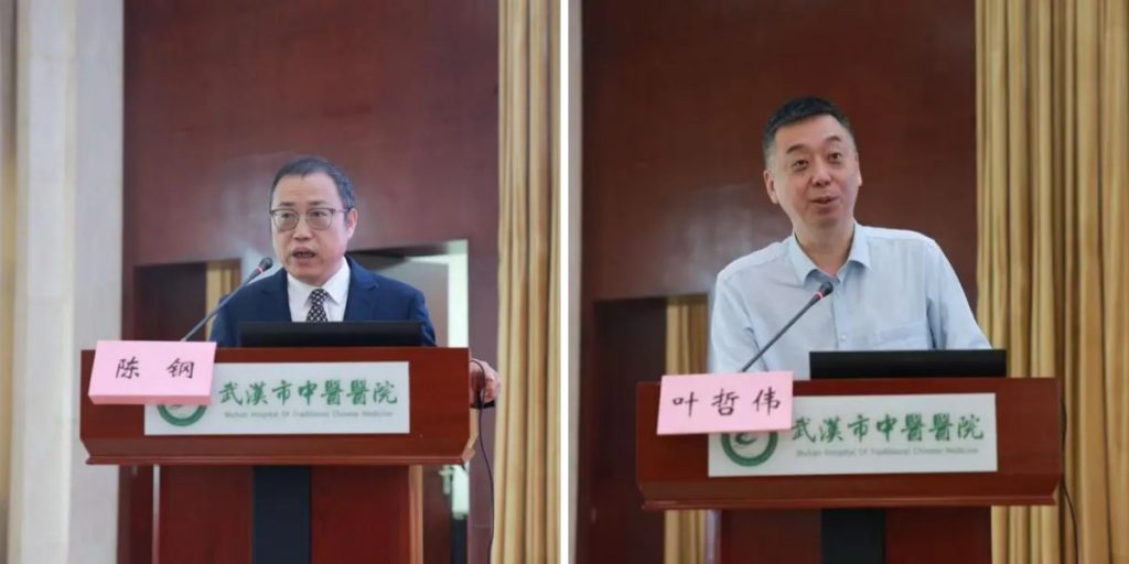 武汉医师协会中医医师分会召开2025年医师年会暨中医创新思维与人文素养提升培训班
