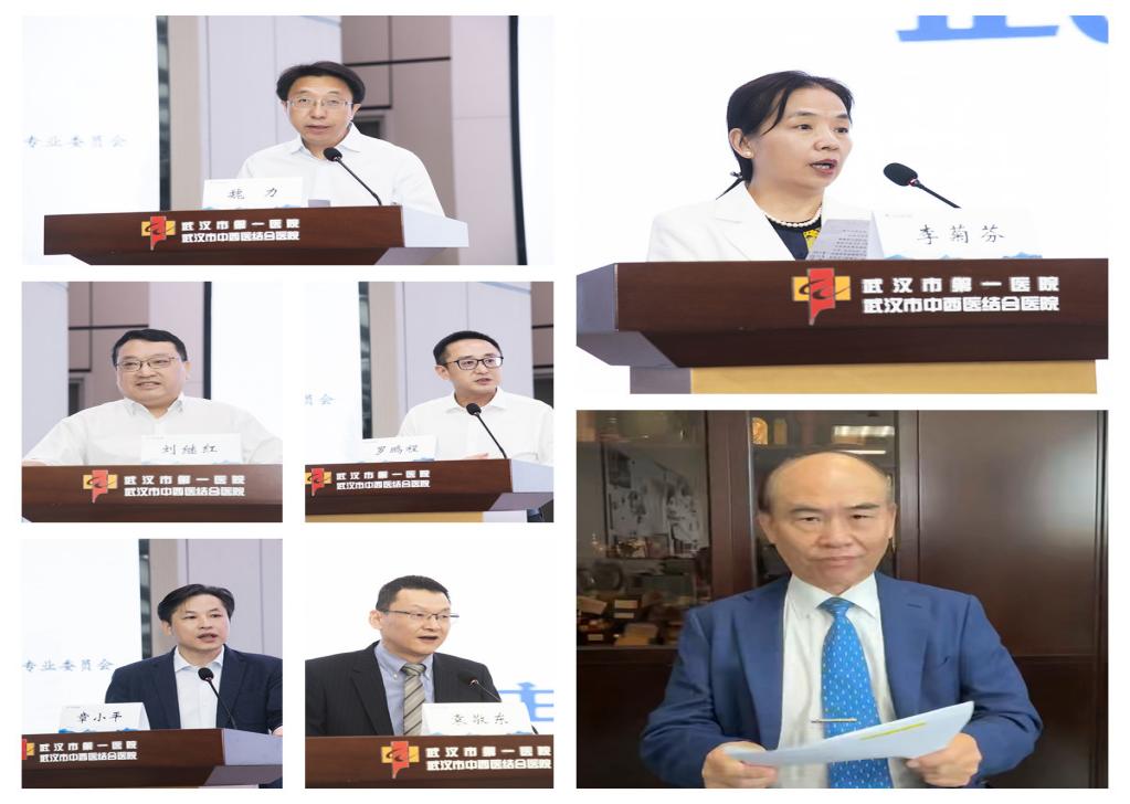 引领学术热潮 共筑泌尿健康新高度——武汉医师协会泌尿外科医师分会召开2025年年会