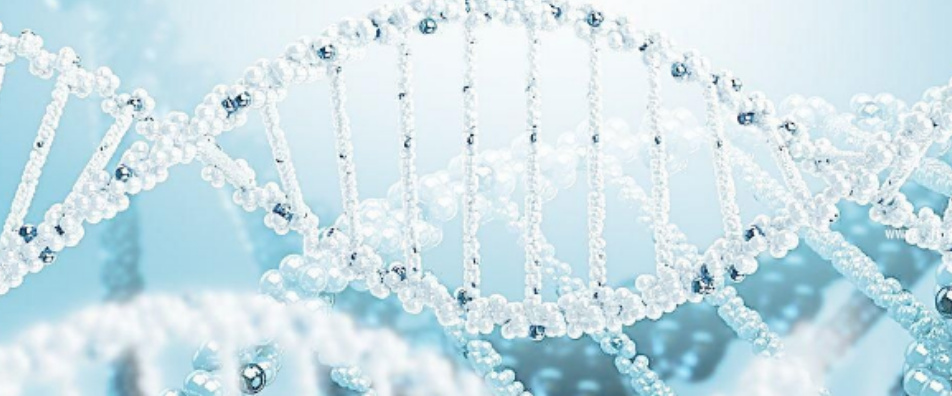 滋养养颜 消除疲劳  快来试试高压氧“SPA”