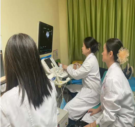 助“孕”健康，守护新生--武汉医师协会遗传与优生医师分会义诊活动江夏行