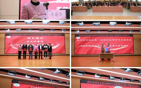 武汉医师协会腔内血管学专业委员会举行成立选举大会暨第一届委员会第一次全体委员会议