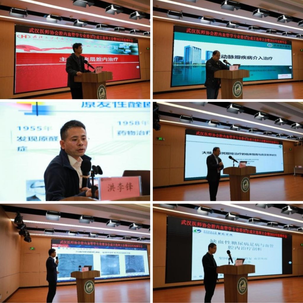 武汉医师协会腔内血管学专业委员会举行成立选举大会暨第一届委员会第一次全体委员会议