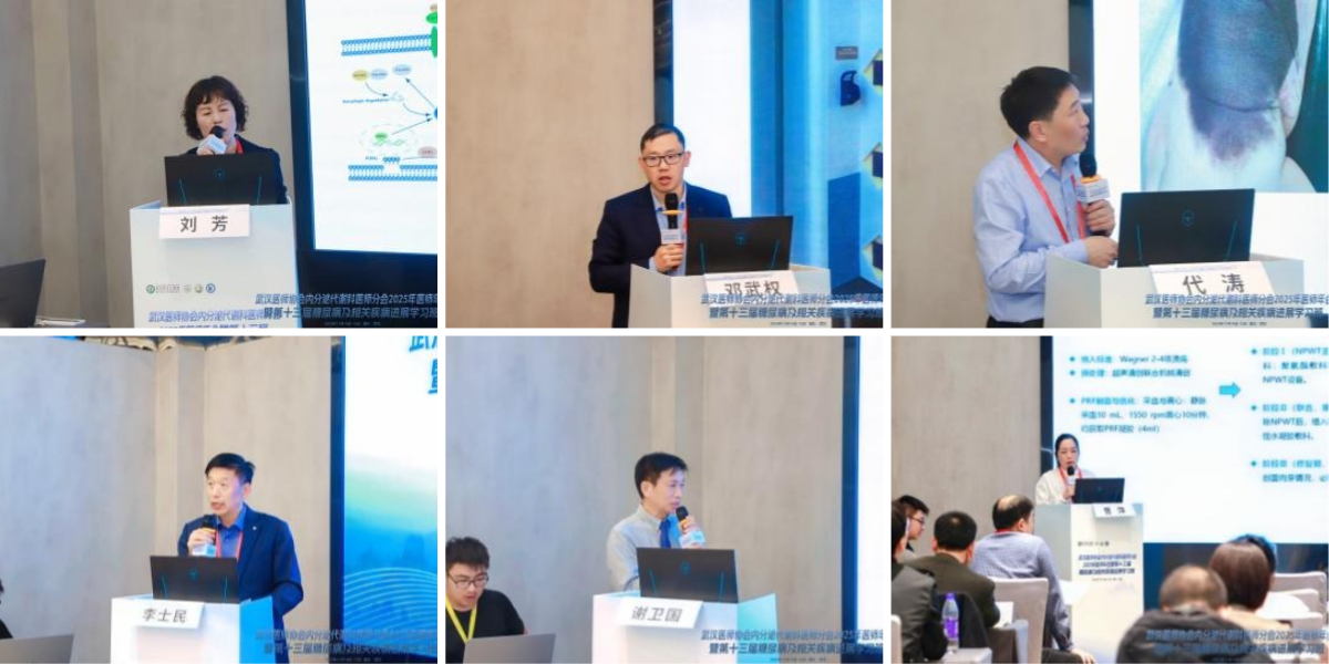 武汉医师协会内分泌代谢科医师分会举办2025年医师年会暨第十三届糖尿病及相关疾病进展学习班