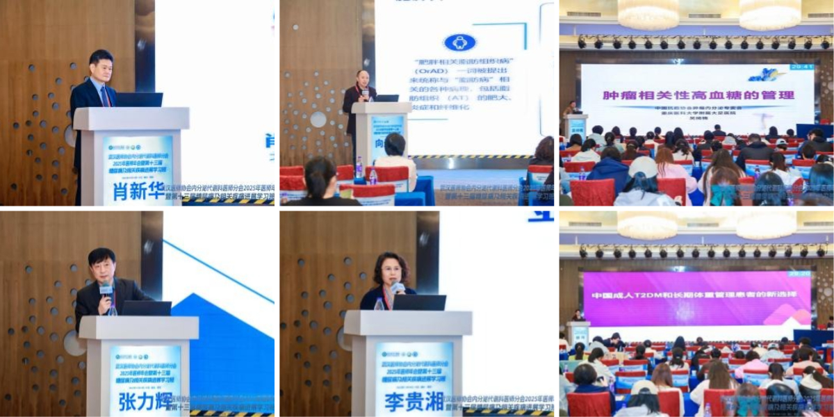 武汉医师协会内分泌代谢科医师分会举办2025年医师年会暨第十三届糖尿病及相关疾病进展学习班