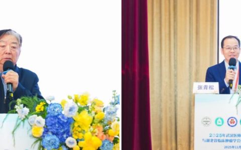 武汉医师协会疼痛科医师分会与湖北省临床肿瘤学会癌痛专家委员会联合举办2025年年会