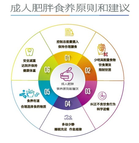 减脂餐怎么吃？别被“轻食”迷惑，科学搭配是关键