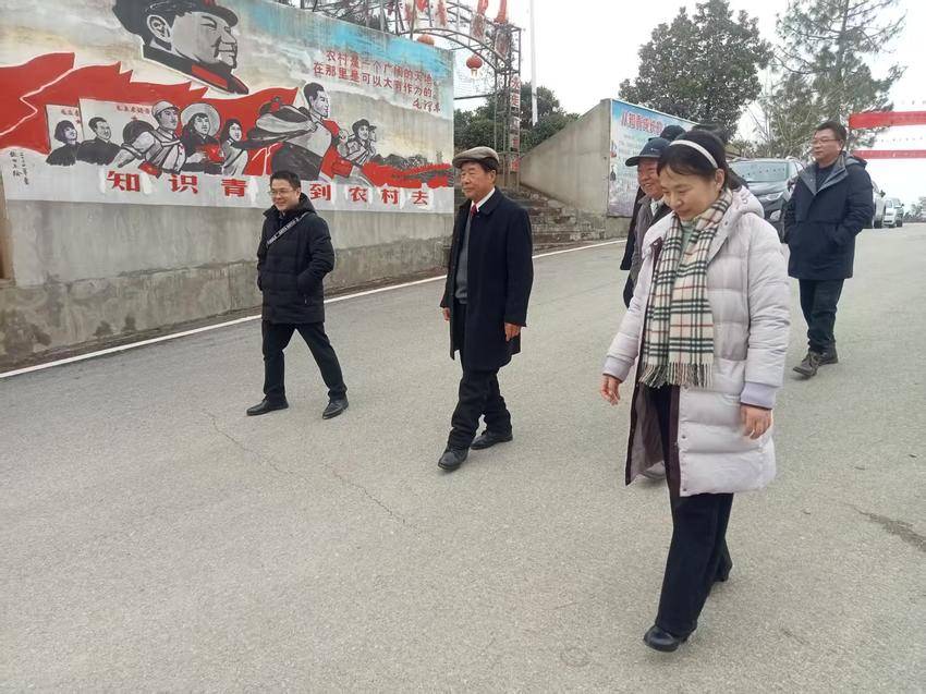 [湖北日报客户端]武汉医师协会临时党支部“医心为民党员志愿者服务队基层健康行——红安行”活动在红安永佳河镇进行