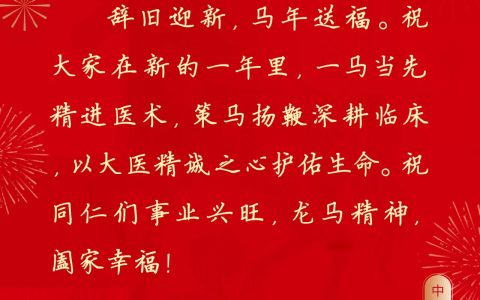 正月初二 马到功成，武汉医师协会祝大家：回门欢聚 归家喜气洋洋