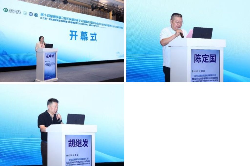 深耕代谢慢病诊疗 赋能足病技术提升 武汉医师协会内分泌代谢科医师分会2026年医师年会圆满召开