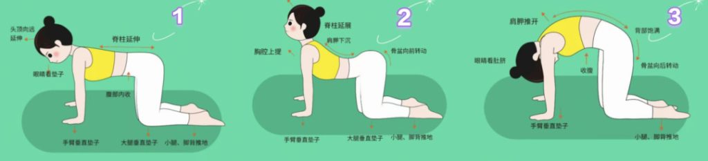 “脆皮”年轻人,如何拯救你的“玻璃腰”